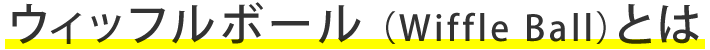 ウィッフルボール （Wiffle Ball）とは